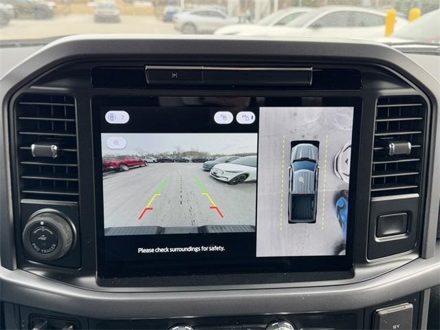 new 2025 Ford F-150 car