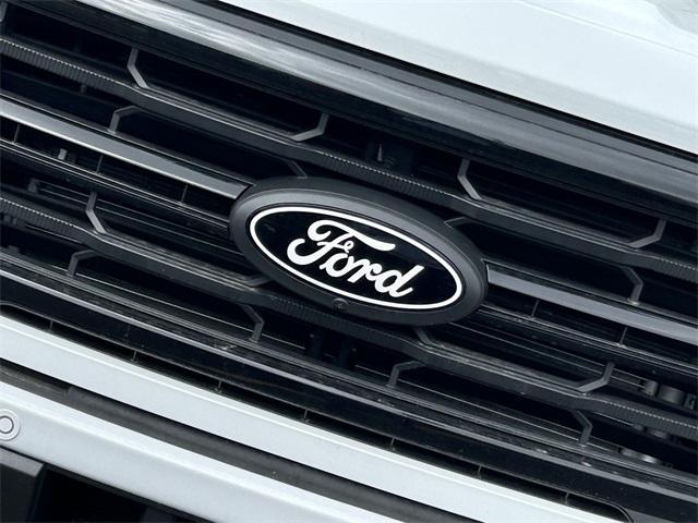 new 2025 Ford F-150 car