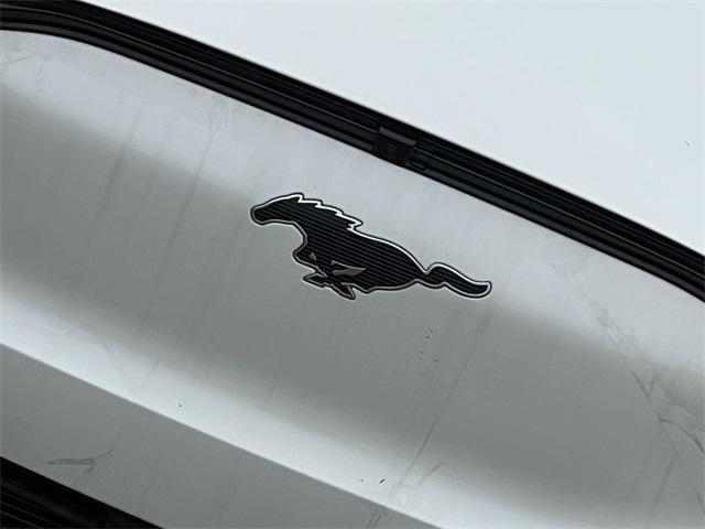 new 2025 Ford Mustang Mach-E car
