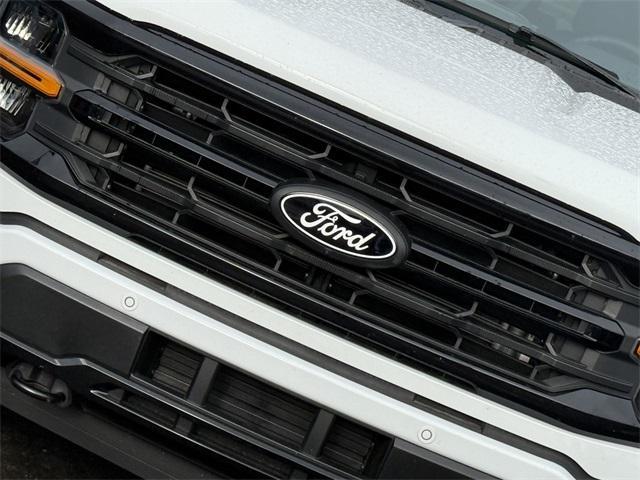 new 2025 Ford F-150 car