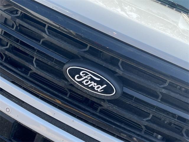 new 2025 Ford F-150 car