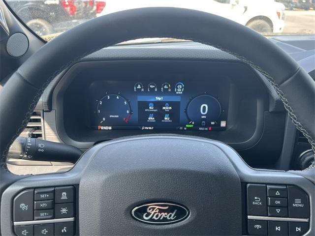 new 2025 Ford F-150 car
