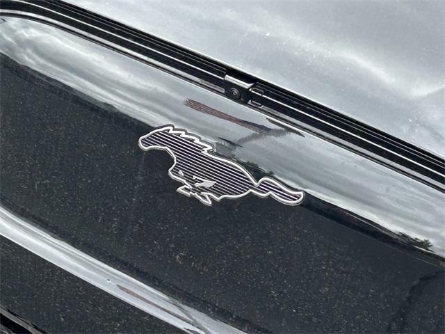 new 2025 Ford Mustang Mach-E car