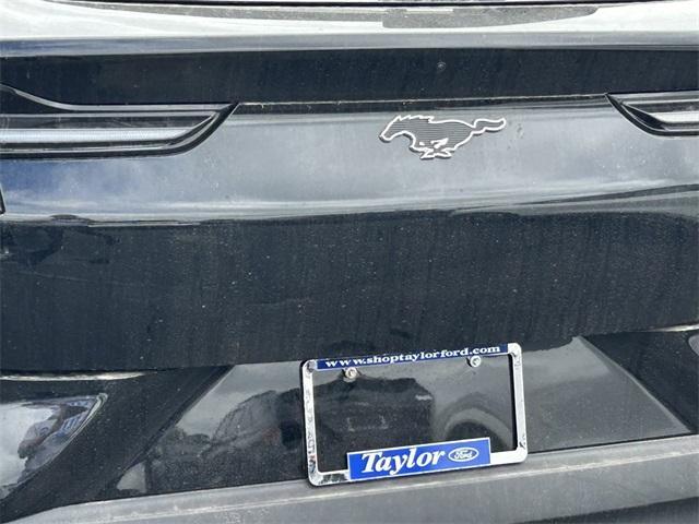 new 2025 Ford Mustang Mach-E car