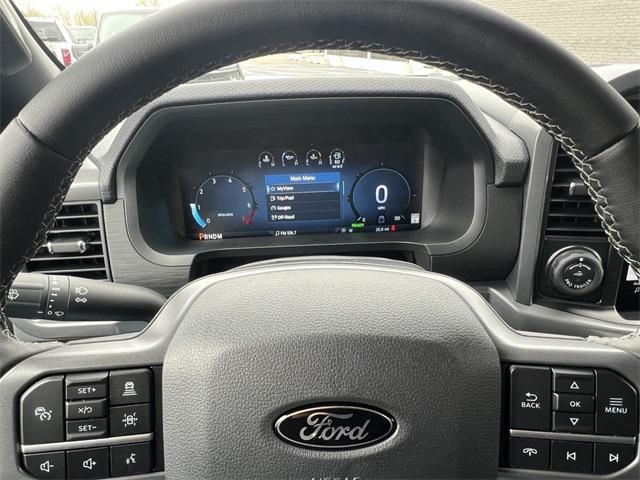 new 2025 Ford F-150 car
