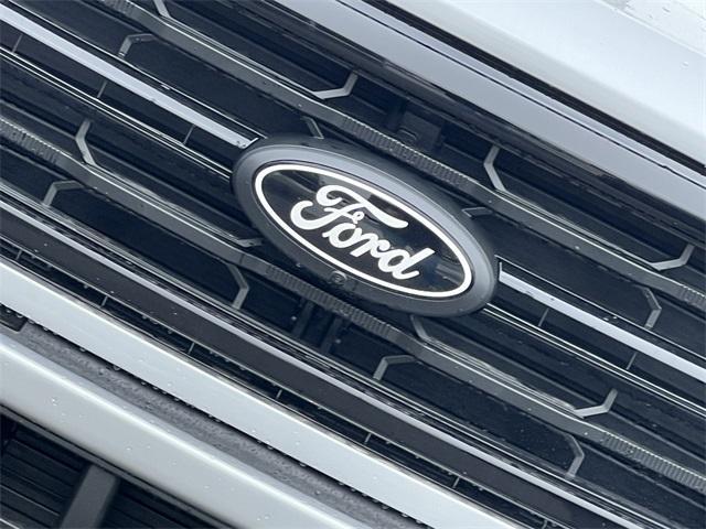 new 2025 Ford F-150 car