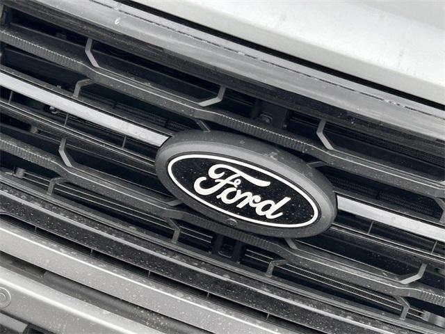 new 2025 Ford F-150 car