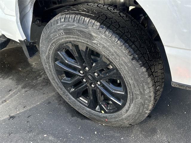 new 2025 Ford F-150 car