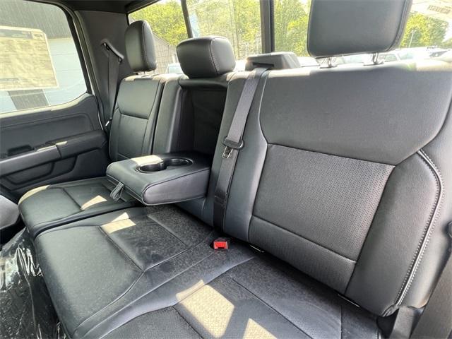 new 2025 Ford F-150 car