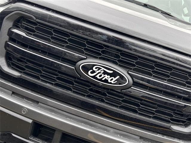 new 2025 Ford F-150 car