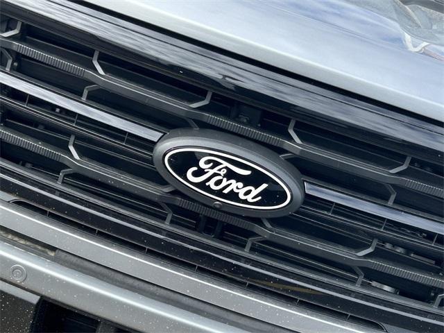 new 2025 Ford F-150 car