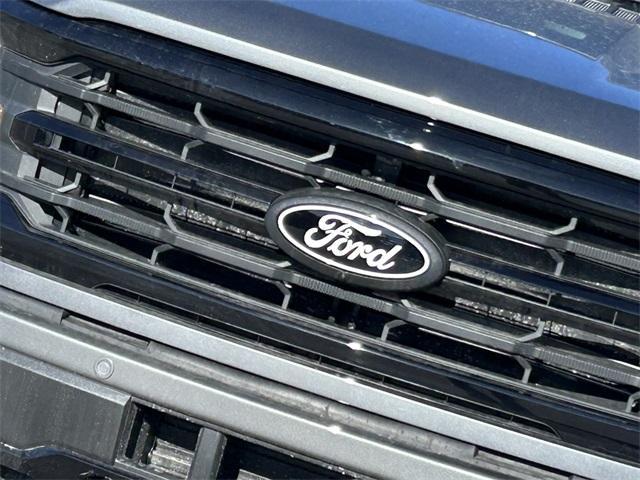 new 2025 Ford F-150 car