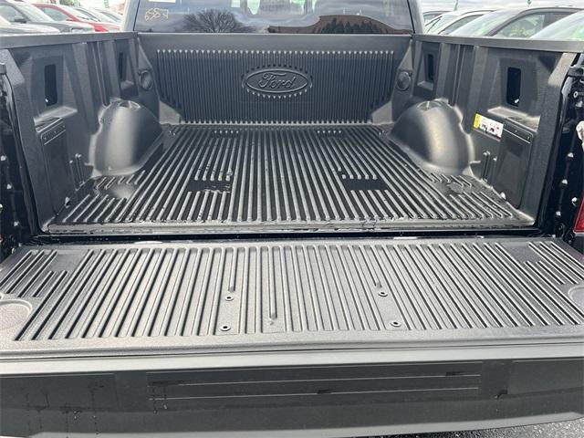 new 2025 Ford F-150 car