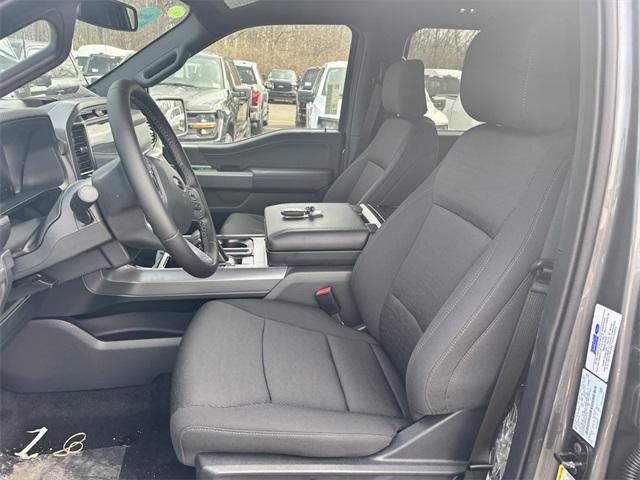 new 2025 Ford F-150 car