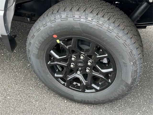 new 2025 Ford F-150 car