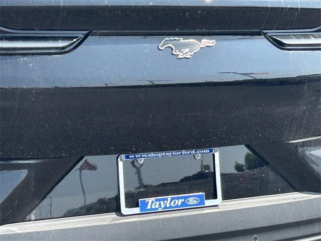 new 2025 Ford Mustang Mach-E car