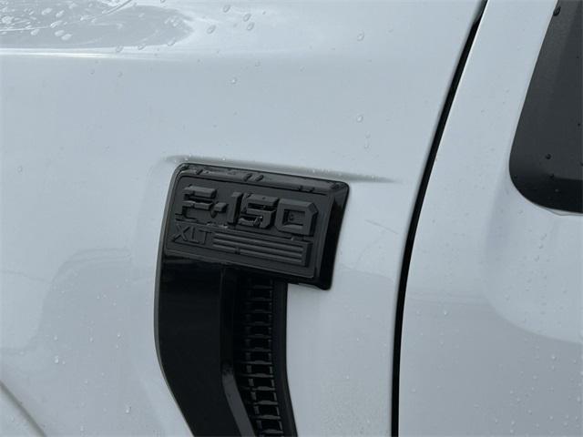 new 2025 Ford F-150 car