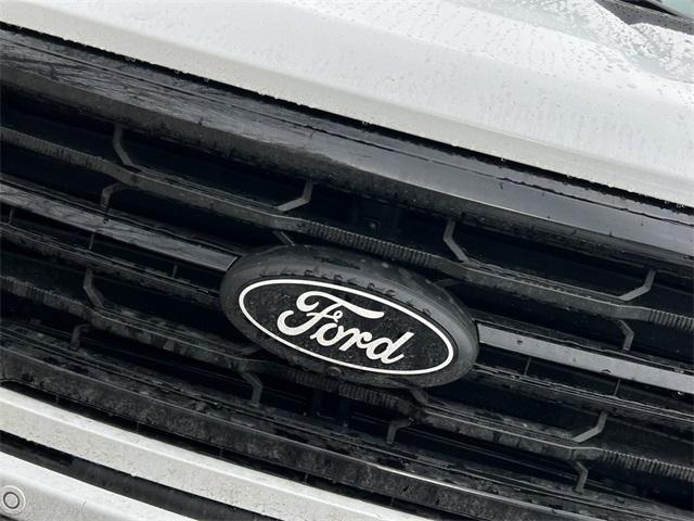 new 2025 Ford F-150 car