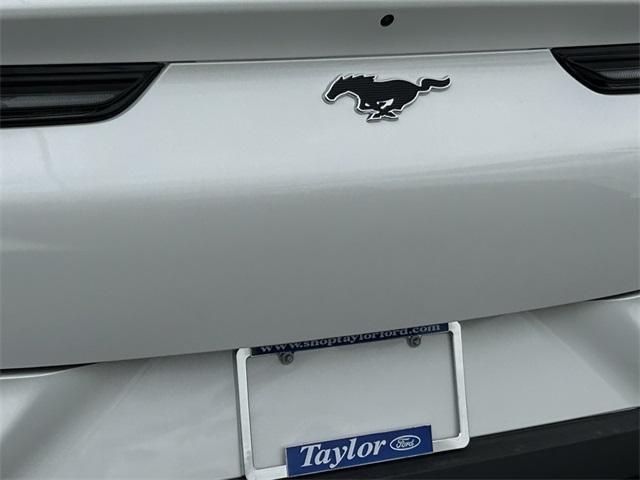 new 2025 Ford Mustang Mach-E car