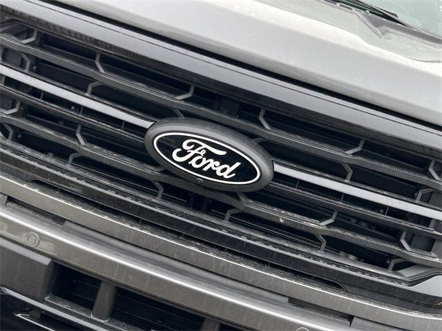 new 2025 Ford F-150 car