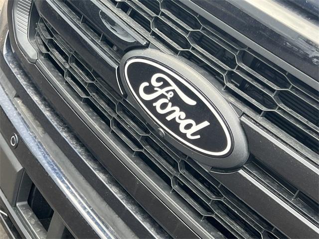 new 2025 Ford F-150 car