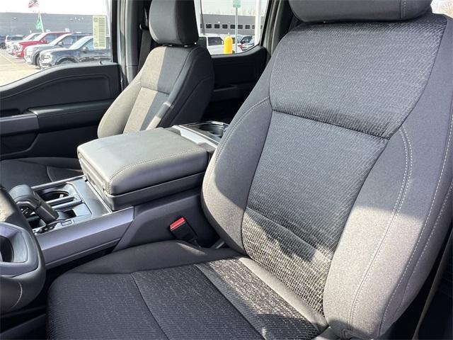 new 2025 Ford F-150 car