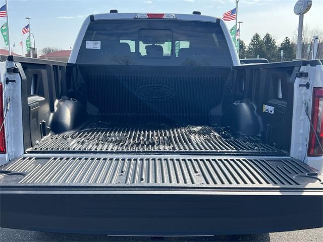 new 2025 Ford F-150 car