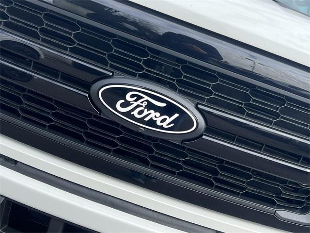 new 2025 Ford F-150 car