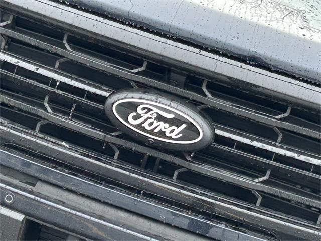 new 2025 Ford F-150 car