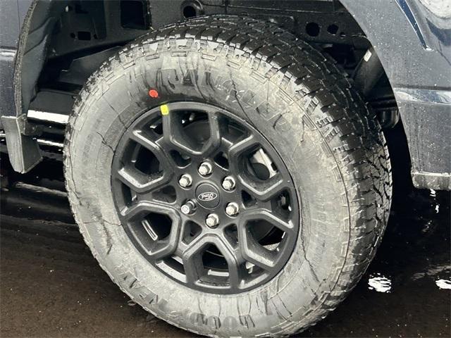 new 2025 Ford F-150 car