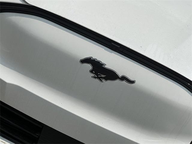 new 2025 Ford Mustang Mach-E car
