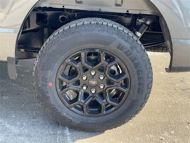 new 2025 Ford F-150 car