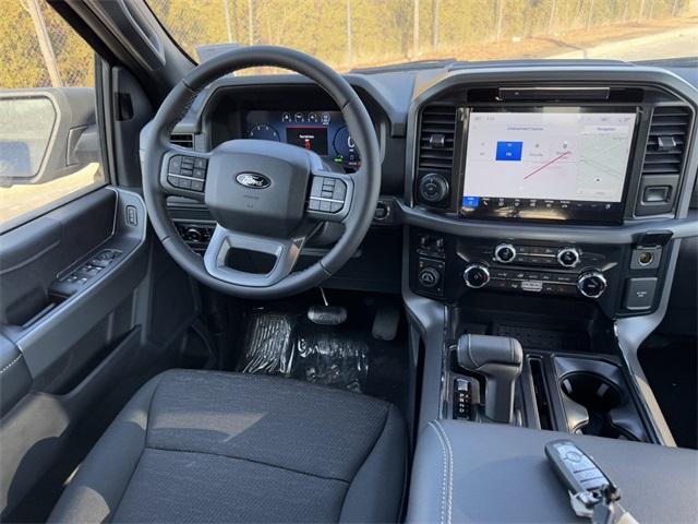 new 2025 Ford F-150 car