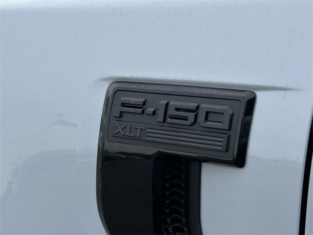 new 2025 Ford F-150 car