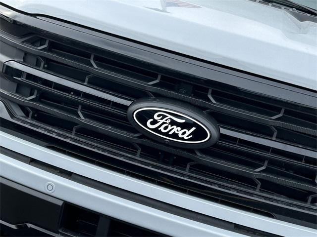 new 2025 Ford F-150 car