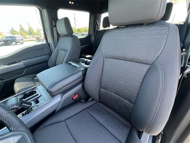 new 2025 Ford F-150 car