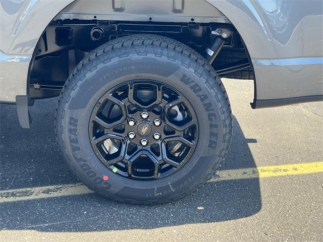 new 2025 Ford F-150 car