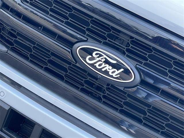 new 2025 Ford F-150 car