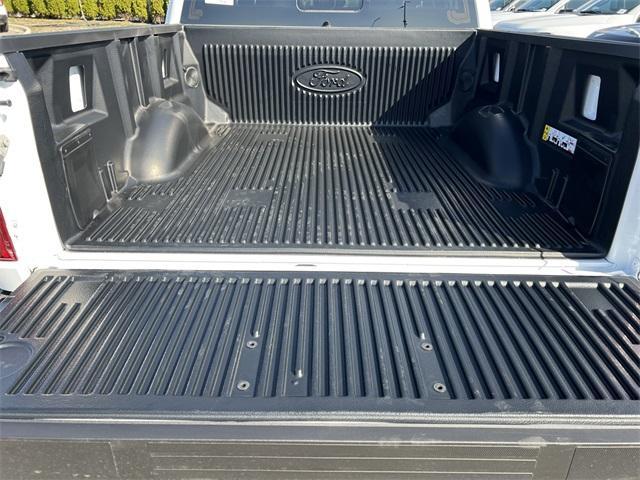 new 2025 Ford F-150 car