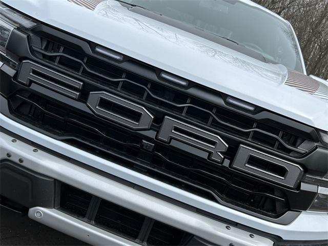new 2025 Ford F-150 car