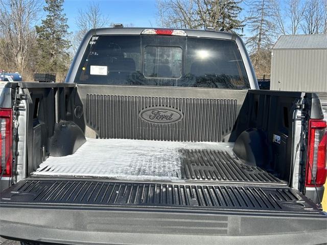 new 2025 Ford F-150 car