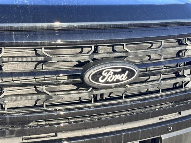 new 2025 Ford F-150 car