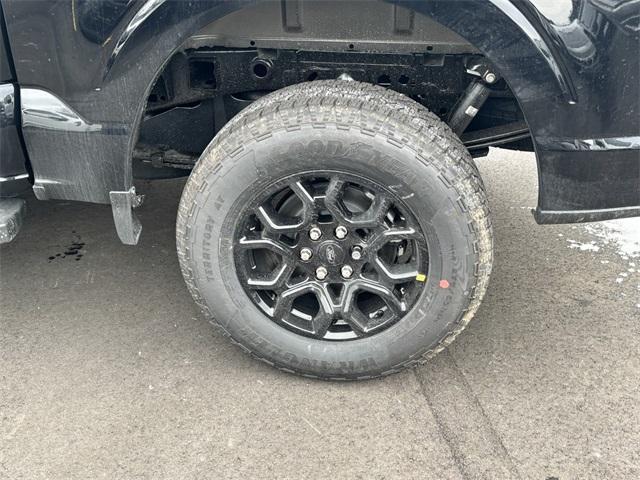 new 2025 Ford F-150 car