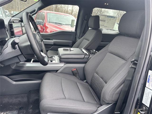 new 2025 Ford F-150 car