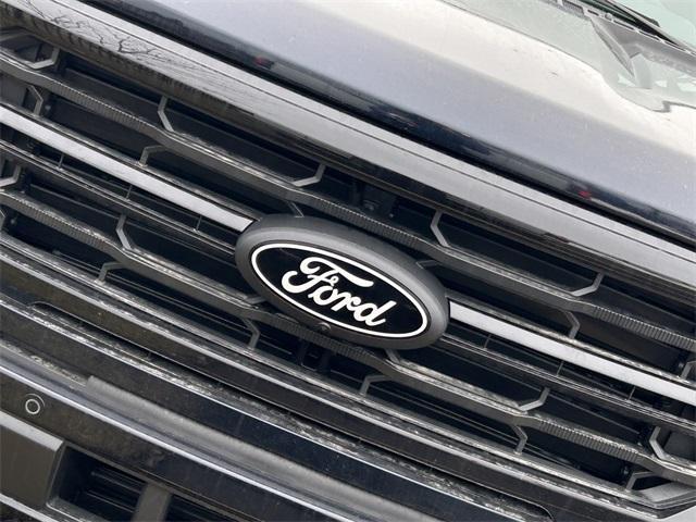 new 2025 Ford F-150 car