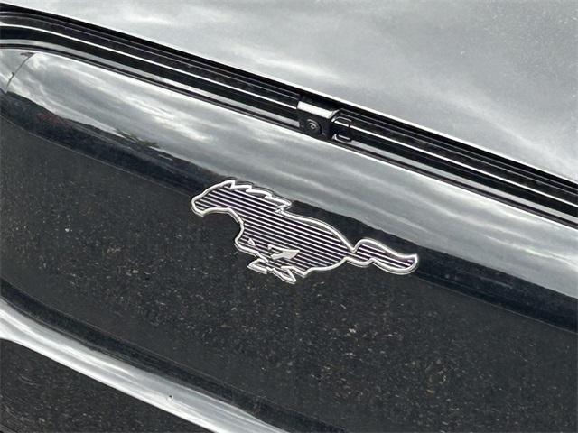 new 2025 Ford Mustang Mach-E car