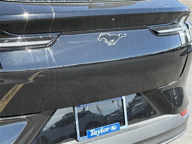 new 2025 Ford Mustang Mach-E car