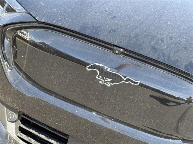 new 2025 Ford Mustang Mach-E car