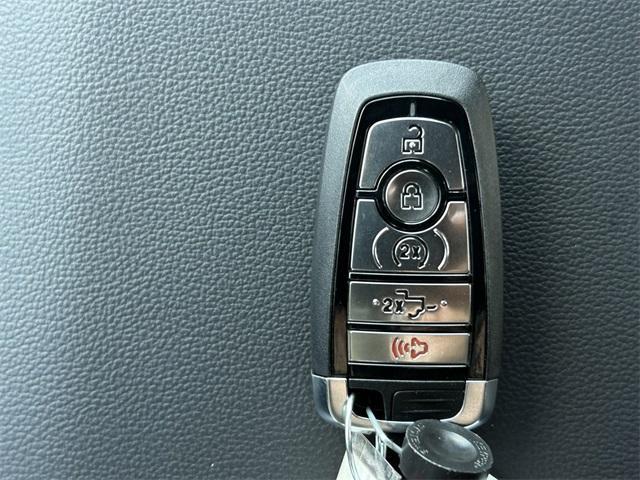 new 2025 Ford F-150 car