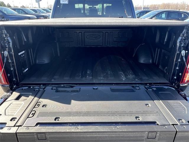 new 2025 Ford F-150 car